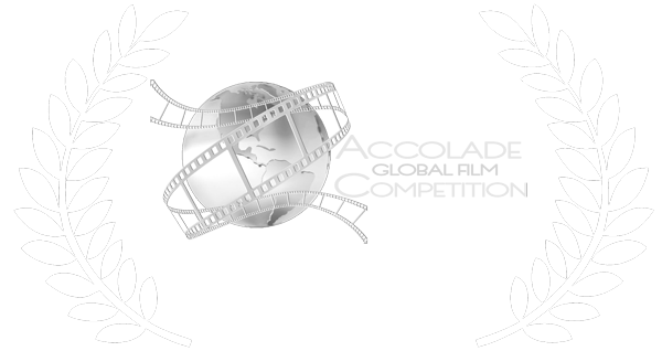 Passion film india Accolade-Excellence 2016